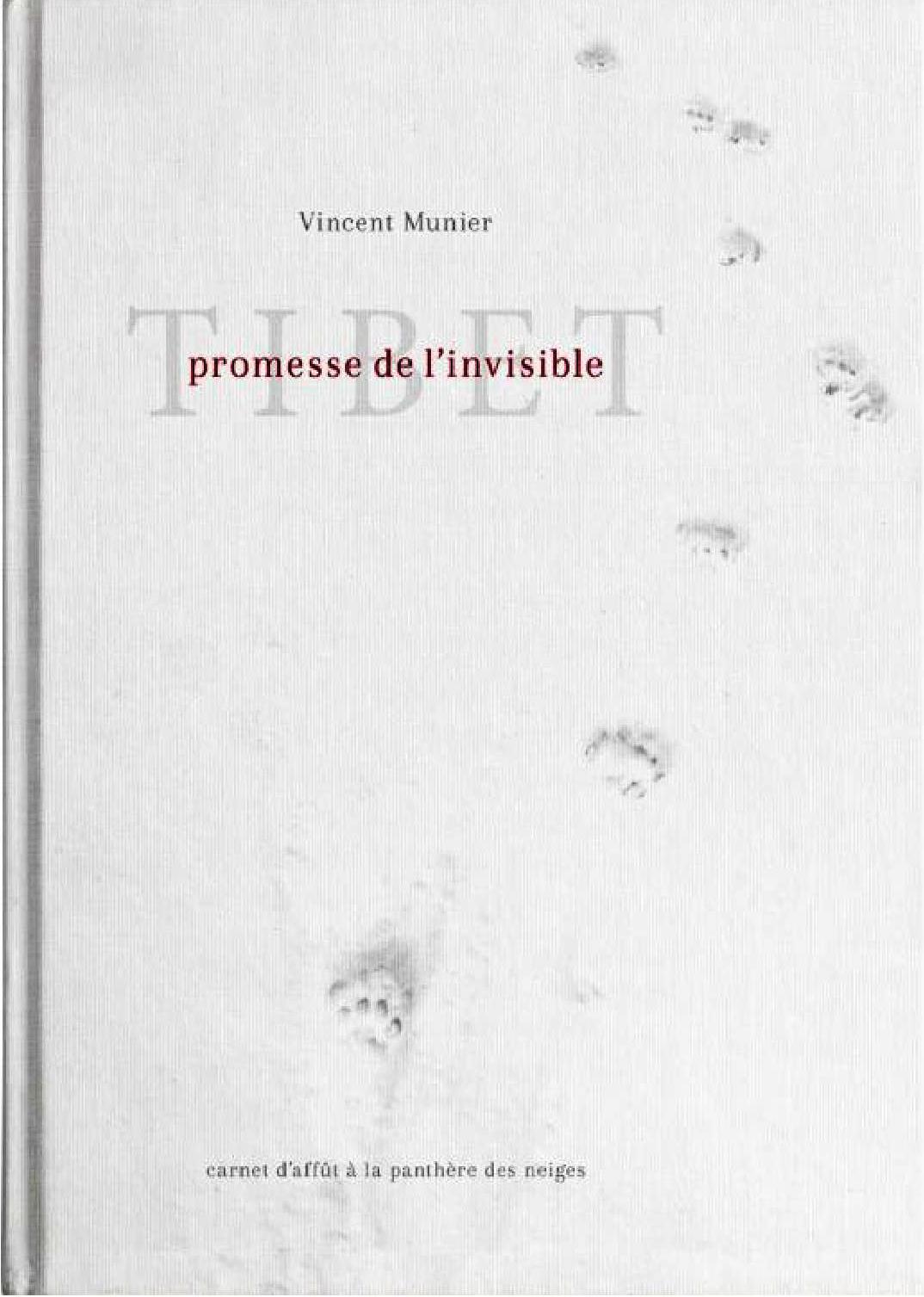 VINCENT MUNIER - TIBET PROMESSE DE L'INVISIBLE
