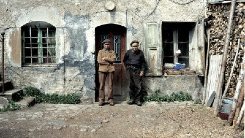 UN JOUR POUSSE L'AUTRE