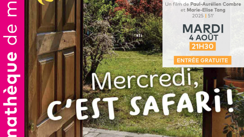 LES PROJECTIONS DANS LA COUR
