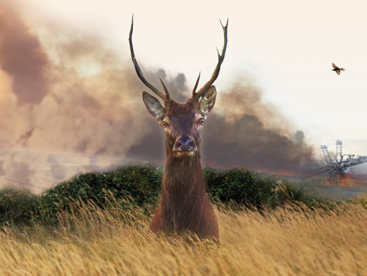 LE PROGRAMME DU MOIS