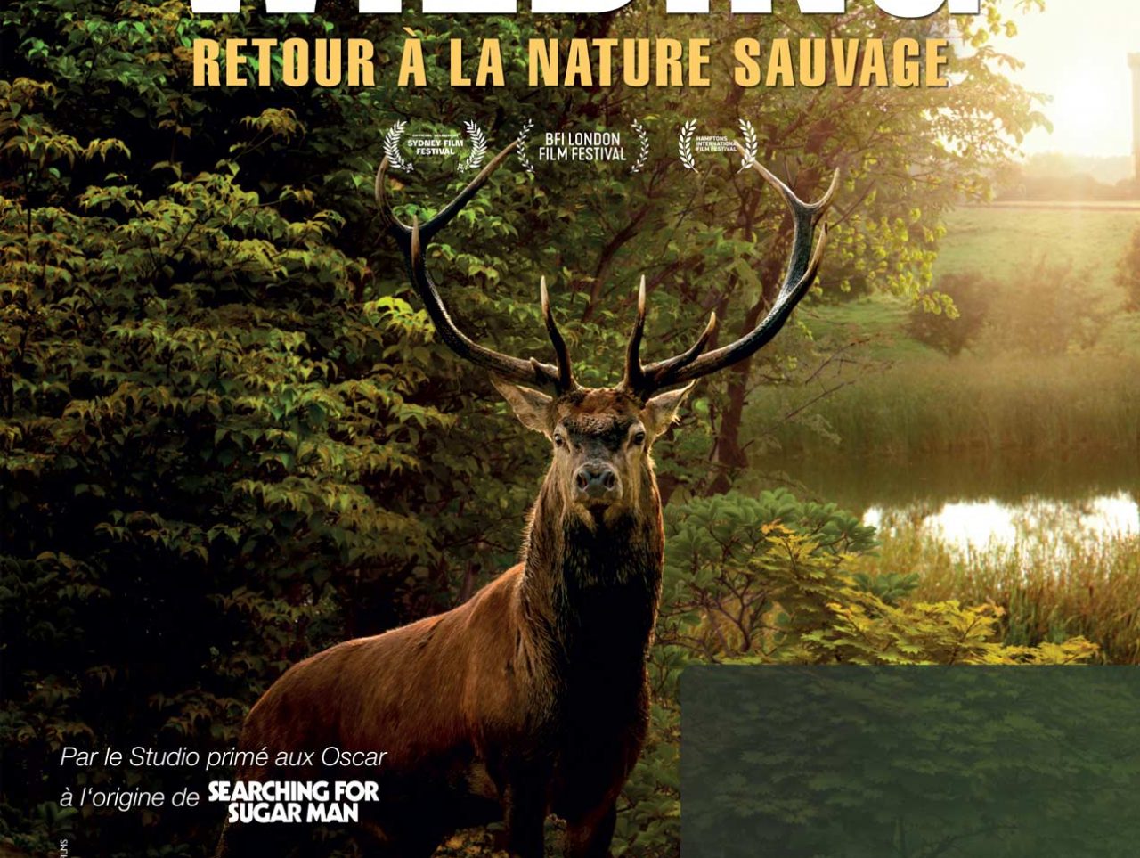 LE PROGRAMME DU MOIS