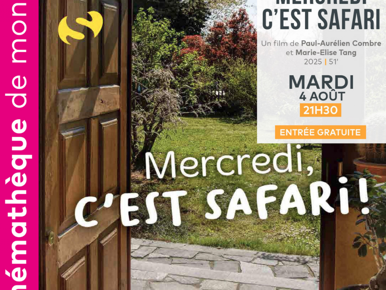 LES PROJECTIONS DANS LA COUR