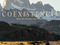 COEXISTENCIA, SUR LES TRACES DES PUMAS