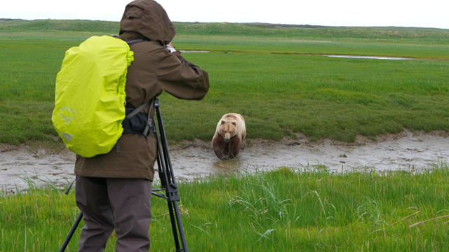 LE REFLET D'UNE FEMME DANS LE REGARD D'UN OURS
