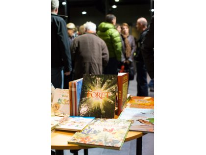 PHOTOS 2013 Librairie dans le hall.jpg